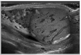 전공의핸드북 그림11.png