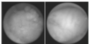 전공의핸드북 그림7.png