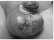 전공의핸드북 그림58.png