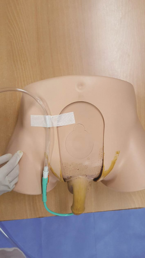 실습학생지침서 그림22.jpg