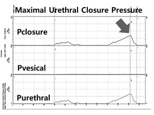실습학생지침서 그림101.jpg