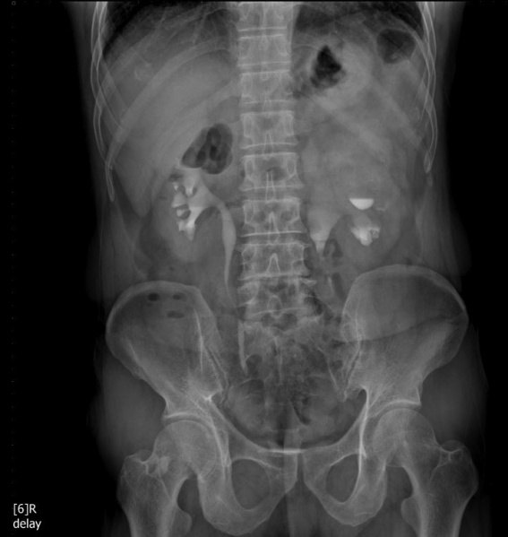 파일:실습학생지침서 그림82.JPG