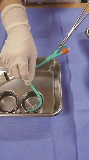 실습학생지침서 그림13.jpg