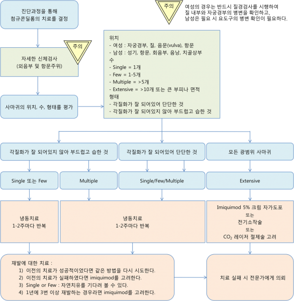 파일:Condyloma Acuminata 4.2.6.png