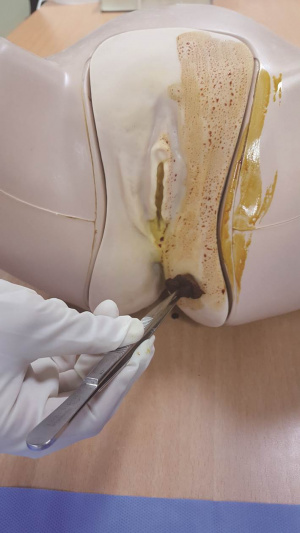 실습학생지침서 그림29.jpg