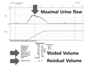 실습학생지침서 그림93.jpg