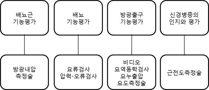 파일:요역동학 검사의 역할.jpg