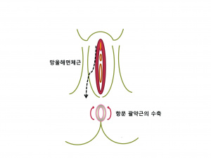 실습학생지침서 그림43.jpg