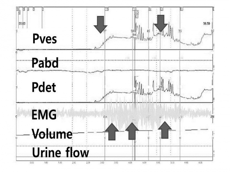 파일:실습학생지침서 그림114.jpg