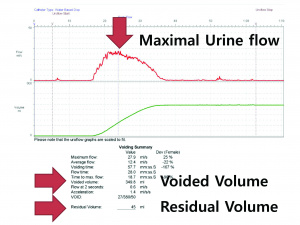 실습학생지침서 그림51.jpg