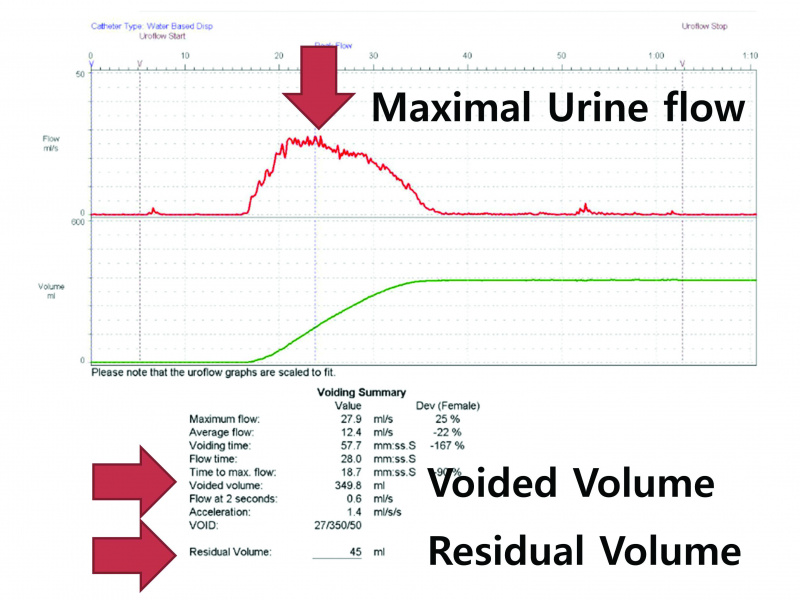 파일:실습학생지침서 그림51.jpg