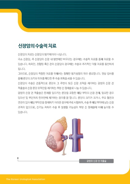 파일:신장암의 수술적 치료.pdf
