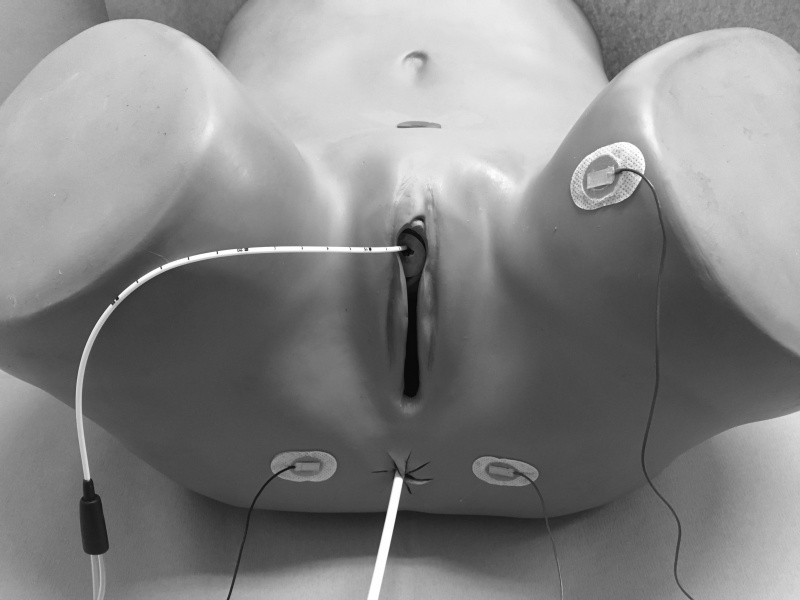 파일:실습학생지침서 그림96.JPG