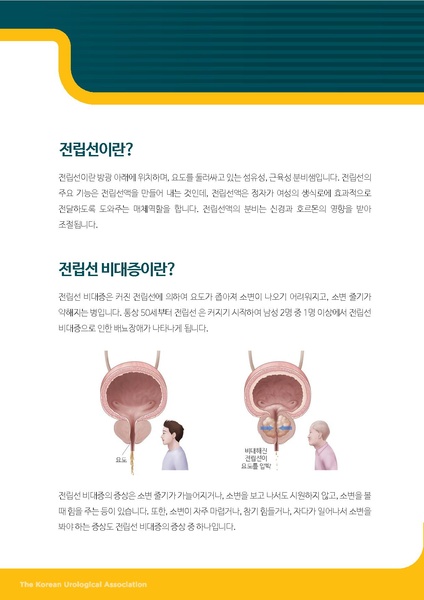 파일:전립선 비대증의 약물 치료.pdf