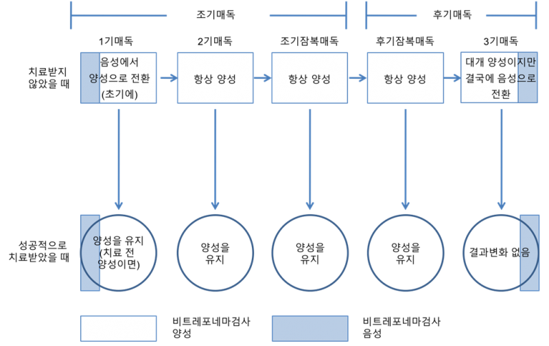 파일:Syphilis 3.3.4.png