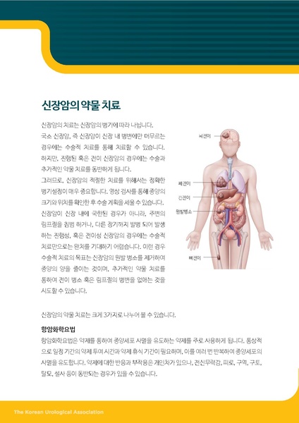파일:신장암의 약물 치료.pdf