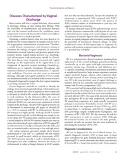 다음 페이지 →