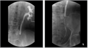 전공의핸드북 그림49.png