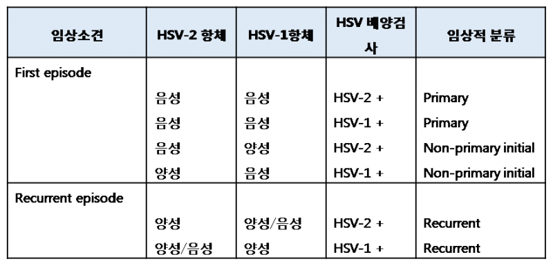 파일:Genital Herpes 1.3.2.2.png
