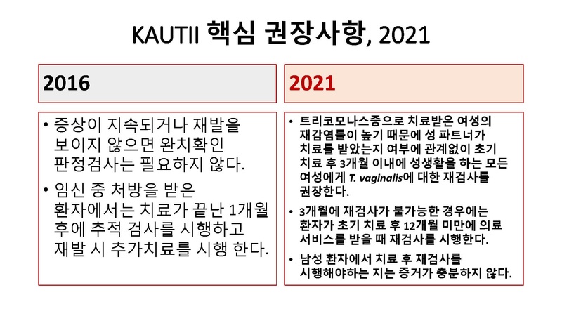 파일:Template 핵심 권장사항.pdf