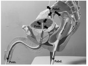 실습학생지침서 그림95.jpg