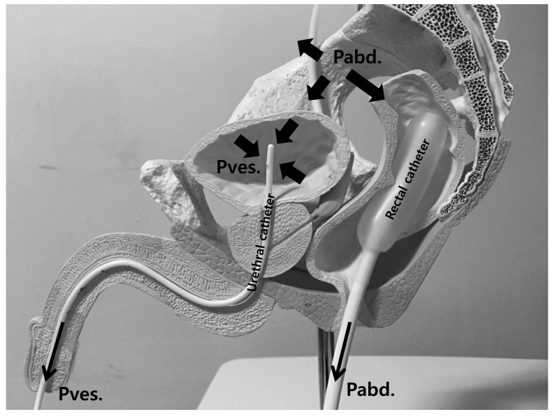 파일:실습학생지침서 그림95.jpg