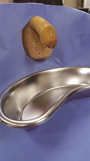 실습학생지침서 그림12.jpg