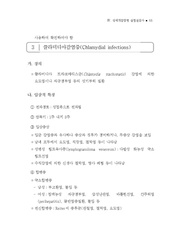 다음 페이지 →