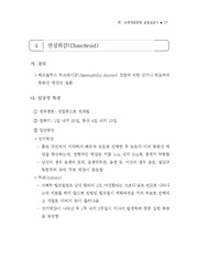 다음 페이지 →