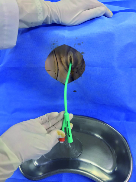 파일:실습학생지침서 그림34.jpg