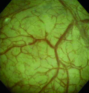 실습학생지침서 그림52.jpg