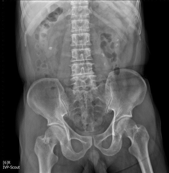 파일:실습학생지침서 그림81.JPG