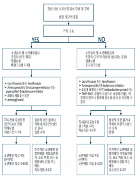 파일:전공의핸드북 그림53.png