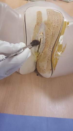 실습학생지침서 그림30.jpg