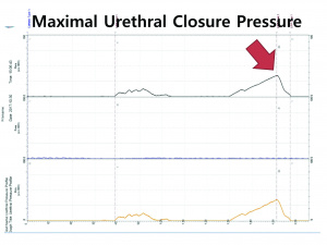 실습학생지침서 그림50.jpg