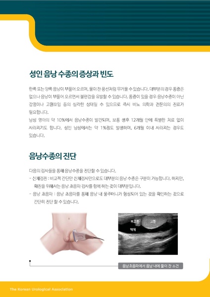 파일:성인 음낭수종.pdf
