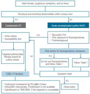 전공의핸드북 그림52.png