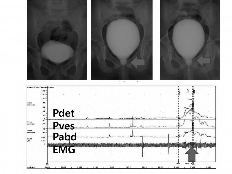 파일:실습학생지침서 그림110.jpg