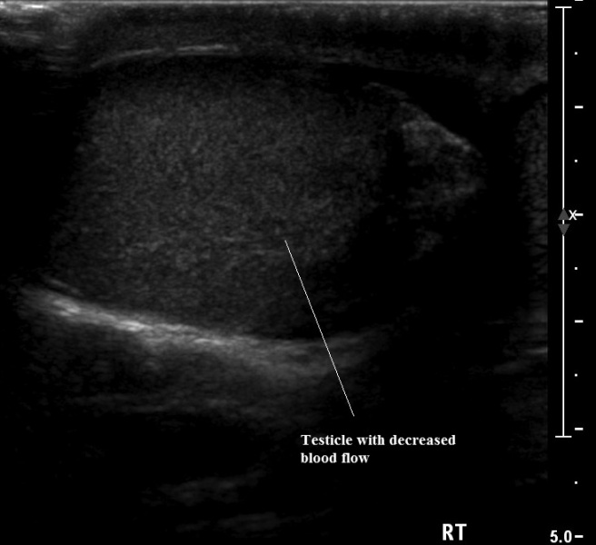 파일:실습학생지침서 그림130.jpg