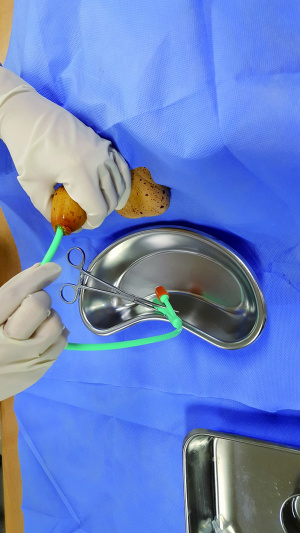 실습학생지침서 그림15.jpg