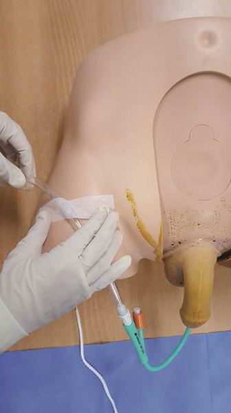 파일:실습학생지침서 그림21.jpg