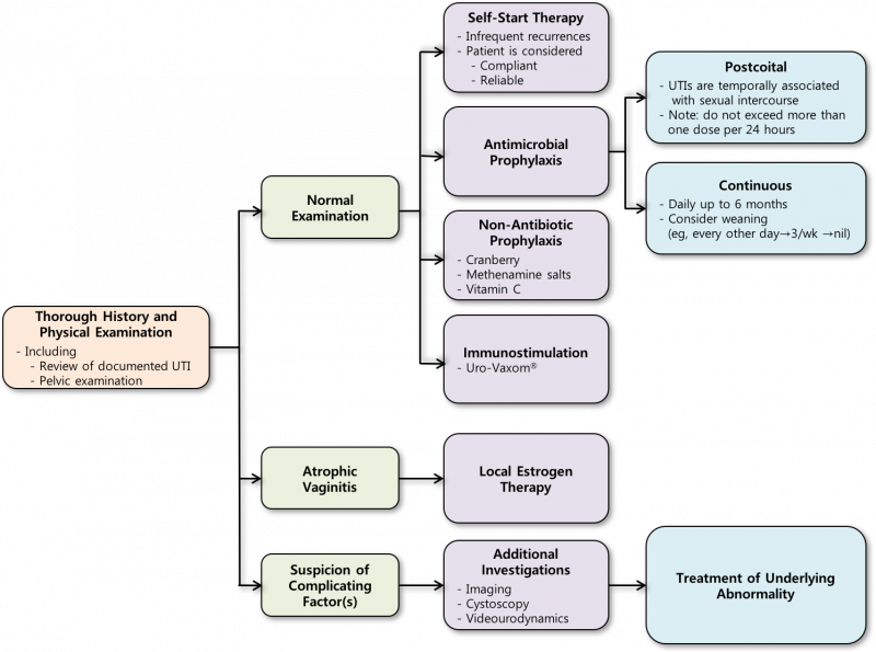 파일:재발성 단순 요로감염.png