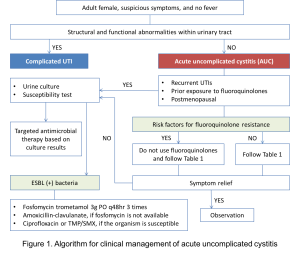 급성 단순 방광염.png