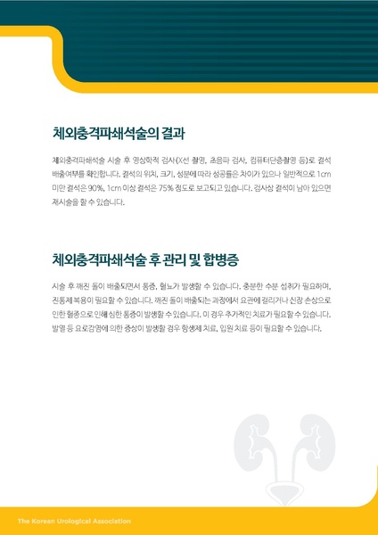 파일:체외충격파쇄석술.pdf