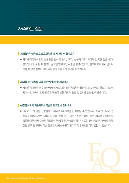 파일:체외충격파쇄석술.pdf