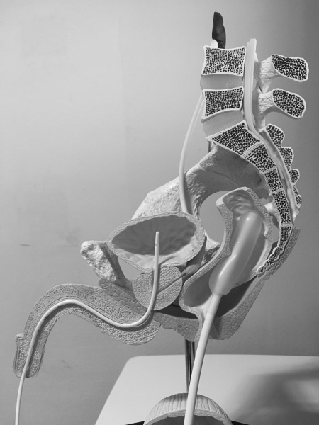 파일:실습학생지침서 그림97.JPG