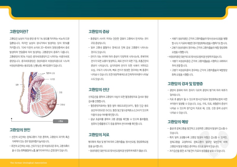 파일:고환암.pdf