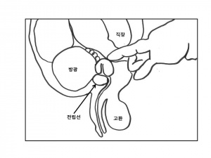 실습학생지침서 그림77.jpg