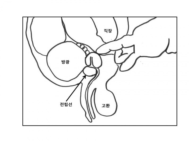 파일:실습학생지침서 그림77.jpg