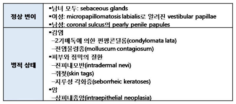 파일:Condyloma Acuminata 3.2.png